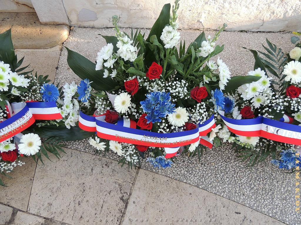2024 12 05 TOULON HOMMAGE AUX MORTS POUR LA FRANCE EN AFN  (5).jpg